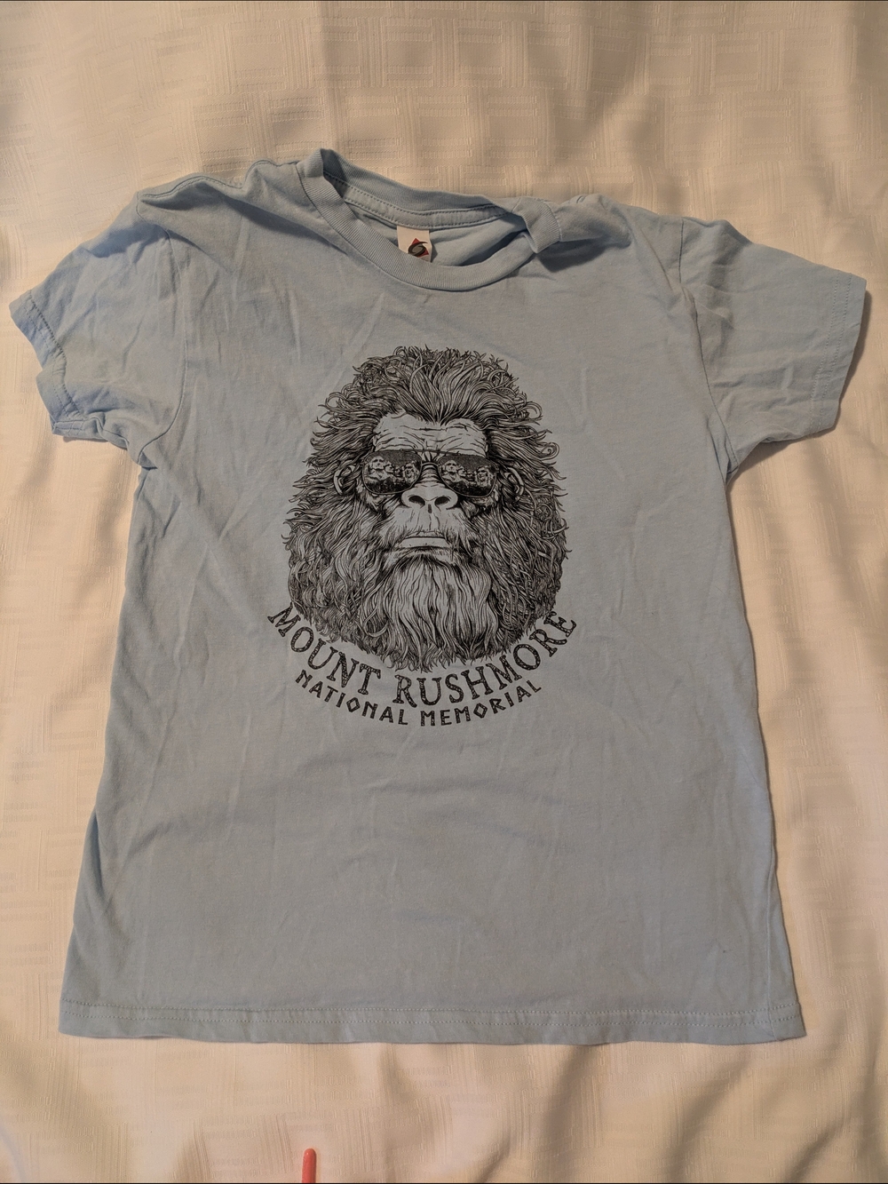 Mount Rushmore Graphic Kids T-Shirt - Light Blue 100% Cotton